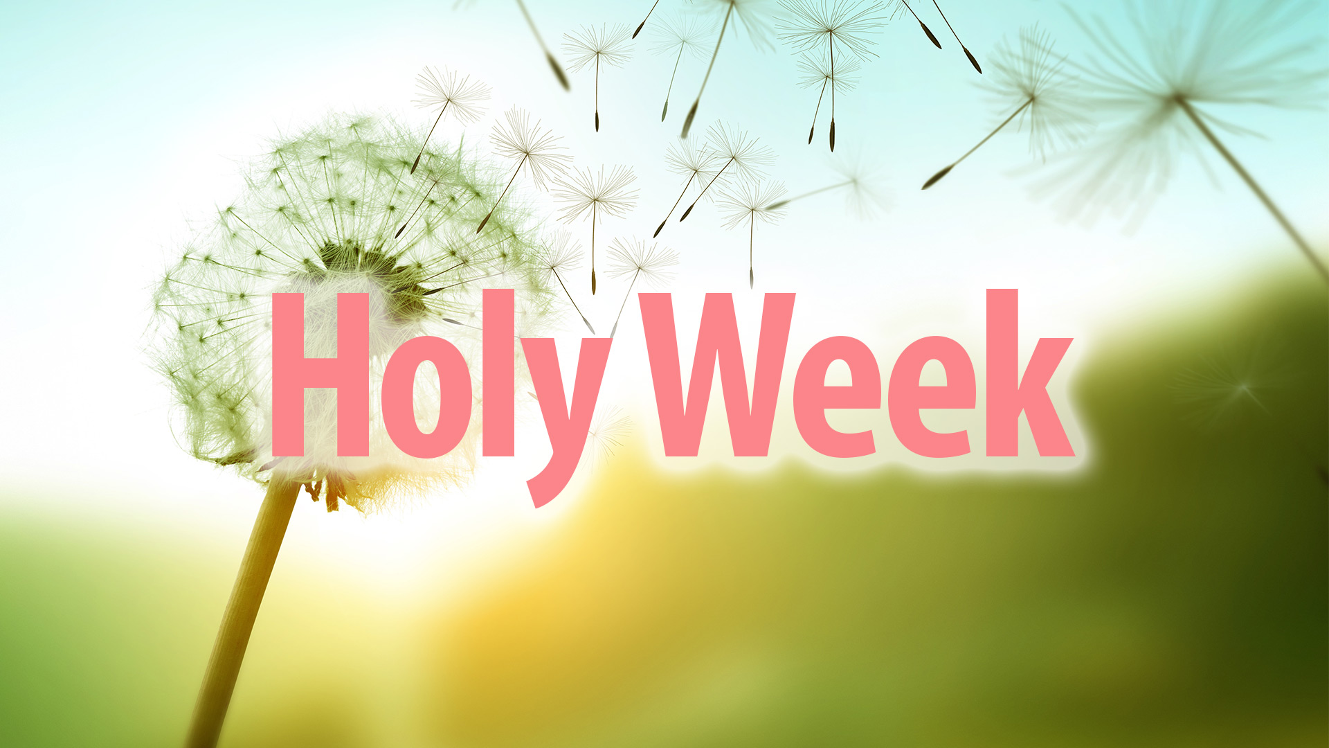 Holy Week with Second Second Presbyterian Church