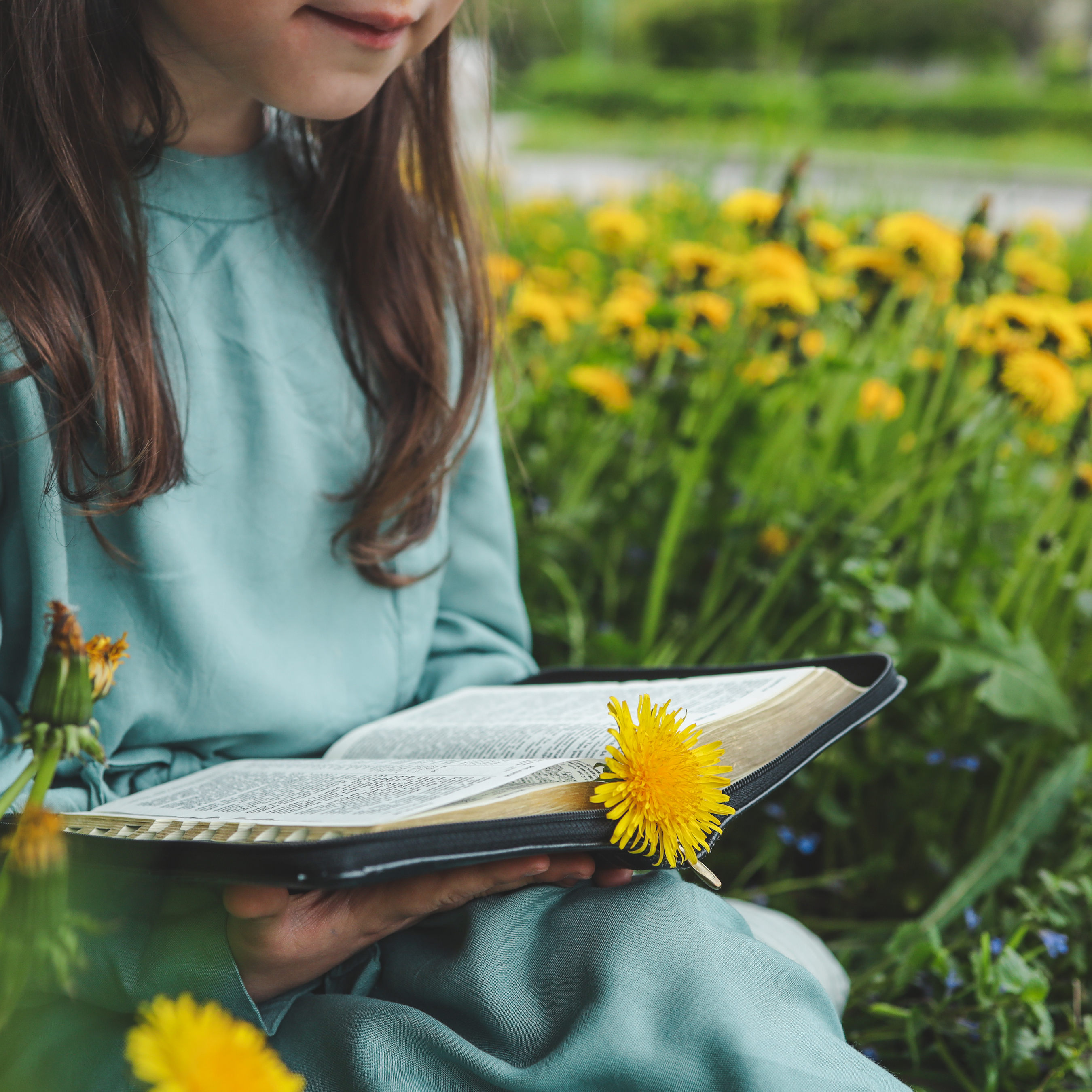 Fourth Grade Bibles

September 21, 9 AM | McFarland Hall
Fourth graders begin a new year of faith formation by receiving a new Bible.

Register
