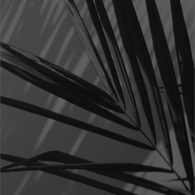 Good Friday Service

April 3, 12 &ndash; 3&nbsp;PM | Sanctuary
Come and go as you are able between 12 &ndash; 3 PM as we meditate on the last words of Christ.

Learn More
