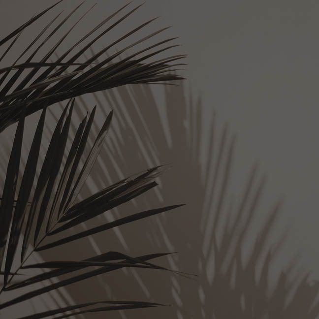 Maundy Thursday Service

April 2, 8 PM | Sanctuary
Remember the final hours of Christ's life, his crucifixion, and the tomb with a Service of Tenebrae and Holy Communion.

Learn More
