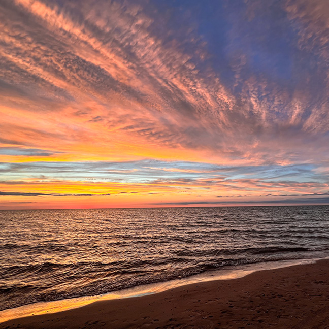 Sacred Arts Series
O Light Everlasting: Music of Hope and Consolation

November 2, 3 – 4 PM | Sanctuary
Celebrate the enduring power of the human spirit to transcend life's inevitable times of adversity and loss. Through music, our soul finds rest, comfort, and hope.

Learn More

