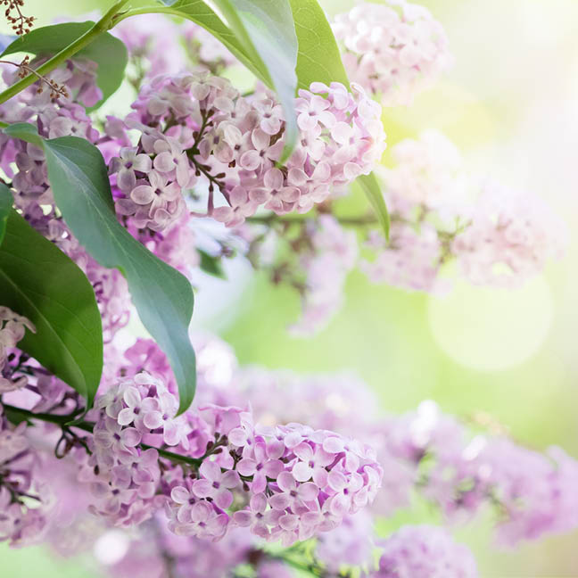 Women at Second Spring Gathering

April 8, 5:30 PM&nbsp;|&nbsp;Home of&nbsp;Kathy Clark
Join&nbsp;Women at Second&nbsp;for an evening of fellowship & conversation together, plus delicious treats!

Learn More
